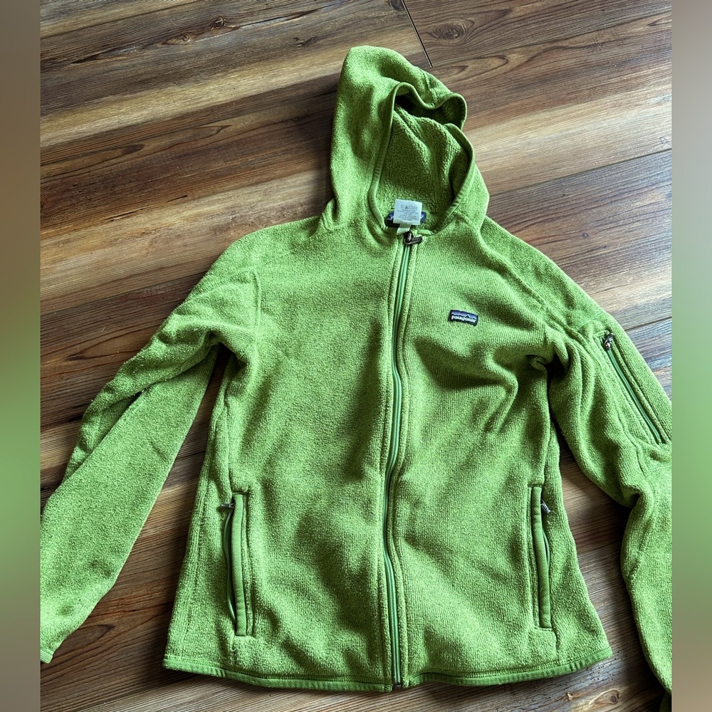 Patagonia better sweater fleece hoodie